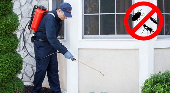 Yayladere Karınca İlaçlama böcek ilaçlama ve haşere kontrolü — ilaclama-tr.com